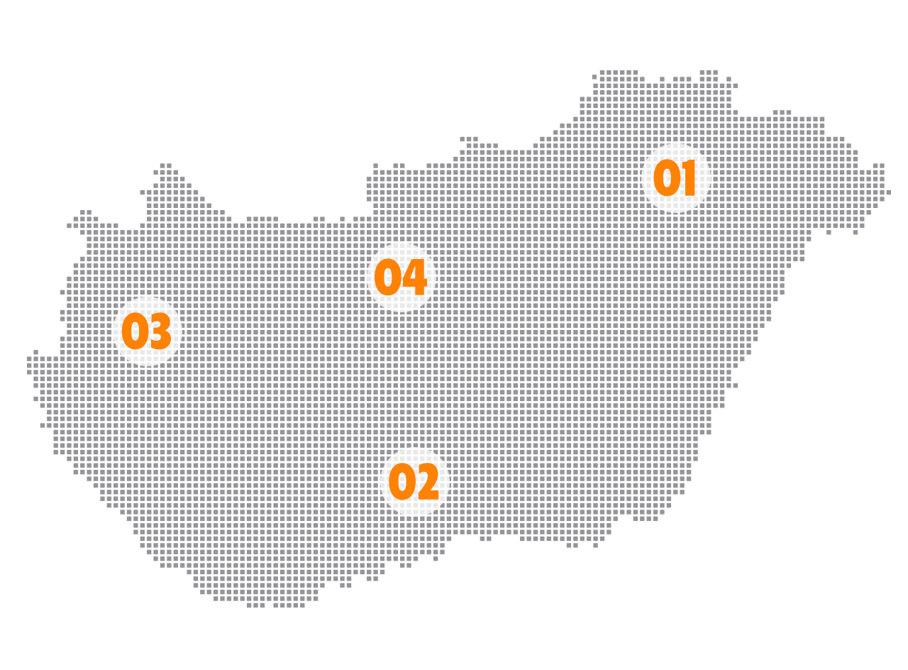 repsol importör